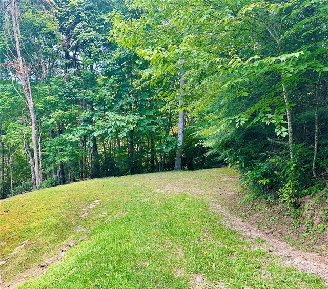 236 Valleyview Dr, Topton, NC 28781 - photo 25