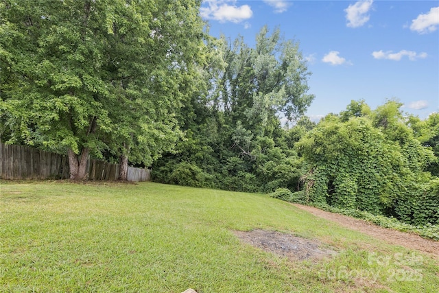 1208 Arch St E Unit 10, Lancaster, SC 29720 - view of yard