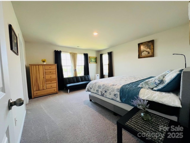 3013 Whipcord Dr, Waxhaw, NC 28173 - carpeted bedroom featuring recessed lighting