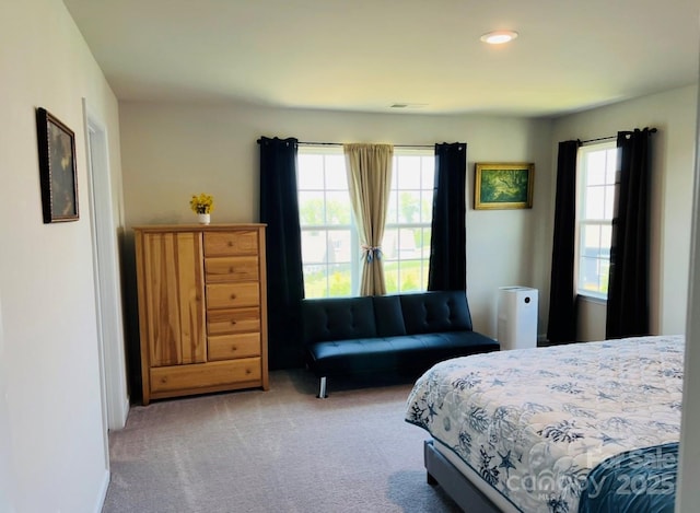 3013 Whipcord Dr, Waxhaw, NC 28173 - bedroom with carpet, multiple windows, and recessed lighting