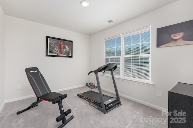 3013 Whipcord Dr, Waxhaw, NC 28173 - exercise room with carpet