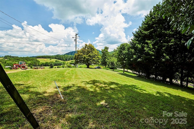 529 Old Newfound Rd, Leicester, NC 28748 - photo 12