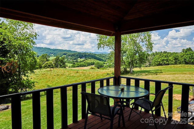 529 Old Newfound Rd, Leicester, NC 28748 - photo 16