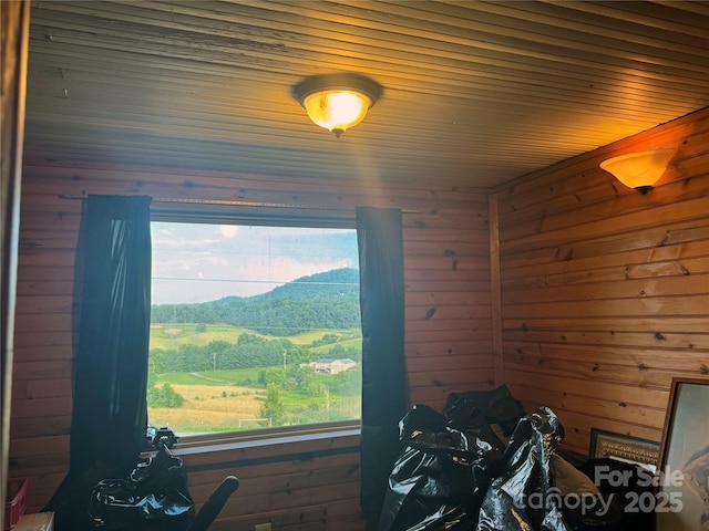 529 Old Newfound Rd, Leicester, NC 28748 - photo 33