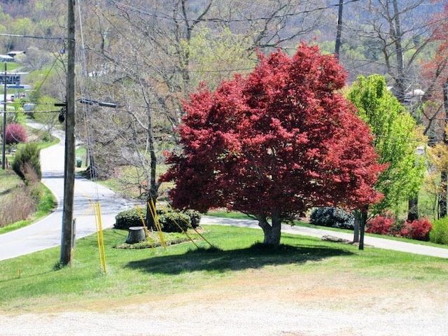 529 Old Newfound Rd, Leicester, NC 28748 - photo 42