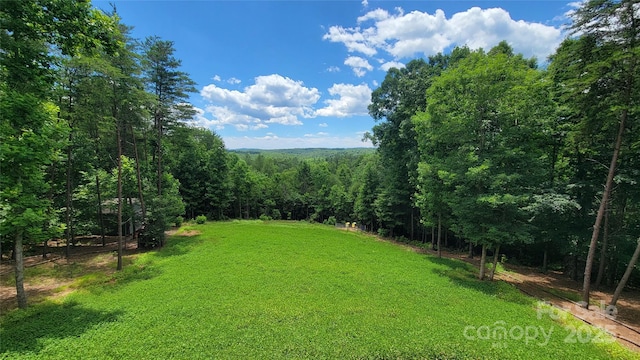 1594 High Valley Way, Lenoir, NC 28645 - view of green lawn with a forest view