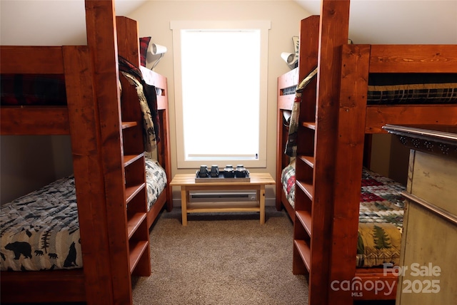 1594 High Valley Way, Lenoir, NC 28645 - view of carpeted bedroom