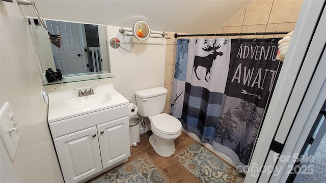 1594 High Valley Way, Lenoir, NC 28645 - bathroom featuring vanity, wood finished floors, lofted ceiling, and a shower with curtain