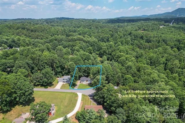 207 Jacksons Run, Morganton, NC 28655 - aerial view of property's location with a heavily wooded area and property boundaries highlighted