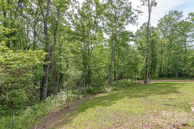 151 Unoga Ct, Brevard, NC 28712 - photo 32