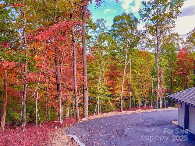 151 Unoga Ct, Brevard, NC 28712 - photo 34