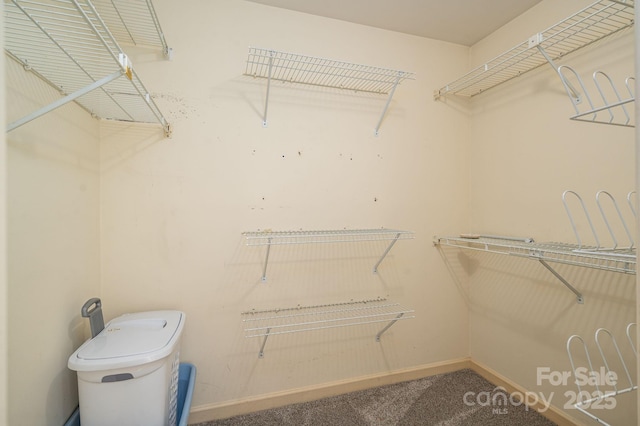 14409 Hackamore Dr, Matthews, NC 28105 - walk in closet featuring carpet flooring
