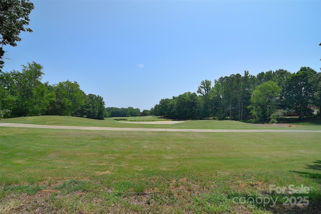 7006 Olde Sycamore Dr, Mint Hill, NC 28227 - photo 41