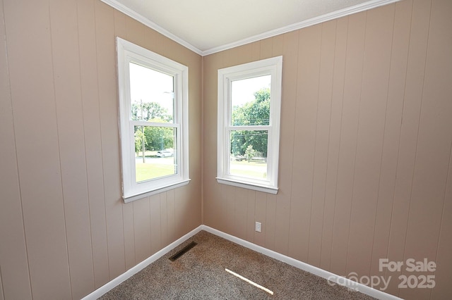 737 8th St SW, Hickory, NC 28602 - unfurnished room featuring dark carpet, crown molding, and wooden walls