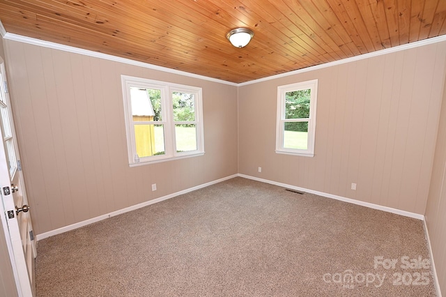 737 8th St SW, Hickory, NC 28602 - carpeted spare room featuring plenty of natural light, wood ceiling, ornamental molding, and wooden walls
