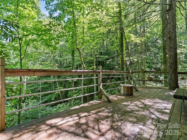 755 Pearson Falls Rd, Saluda, NC 28773 - photo 27