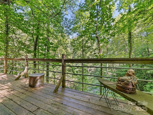 755 Pearson Falls Rd, Saluda, NC 28773 - photo 28