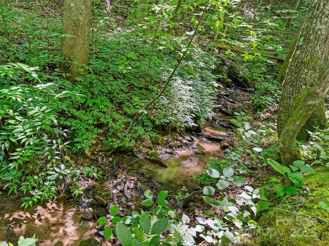 755 Pearson Falls Rd, Saluda, NC 28773 - photo 35