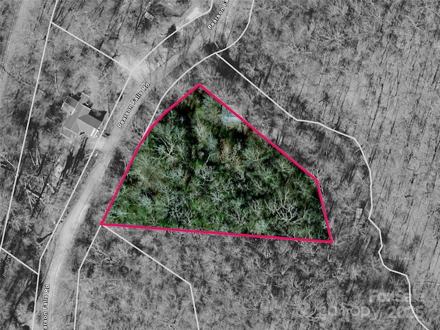 755 Pearson Falls Rd, Saluda, NC 28773 - photo 38