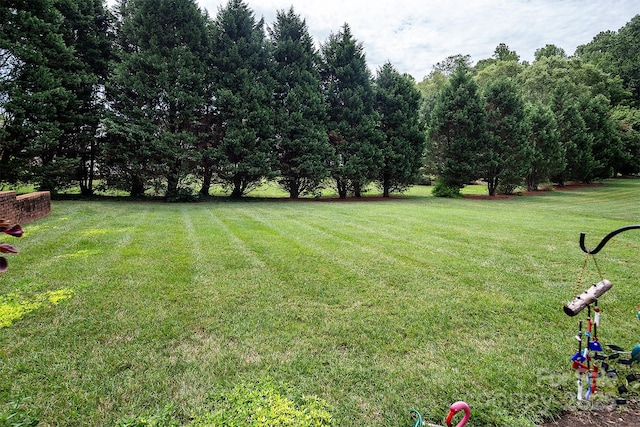 122 Hazeltine Ct, Salisbury, NC 28144 - view of green lawn