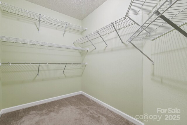1909 Leesburg Dr, Clover, SC 29710 - photo 24