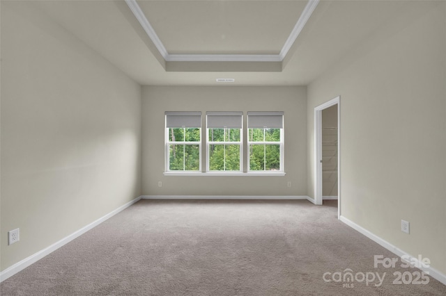 2004 Dornoch Rd, Tega Cay, SC 29708 - empty room featuring a raised ceiling, carpet flooring, and crown molding
