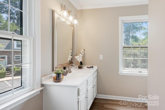 1409 Kensington Rd Unit B-8, Hendersonville, NC 28791 - bathroom with vanity, plenty of natural light, wood finished floors, and ornamental molding