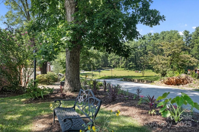 1409 Kensington Rd Unit B-8, Hendersonville, NC 28791 - view of yard