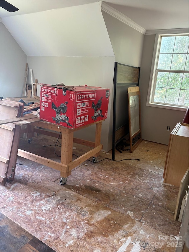 120 Thyme Ln, Statesville, NC 28677 - bedroom with ornamental molding and lofted ceiling