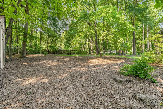 106 Birmingham Pl, Salisbury, NC 28146 - view of yard