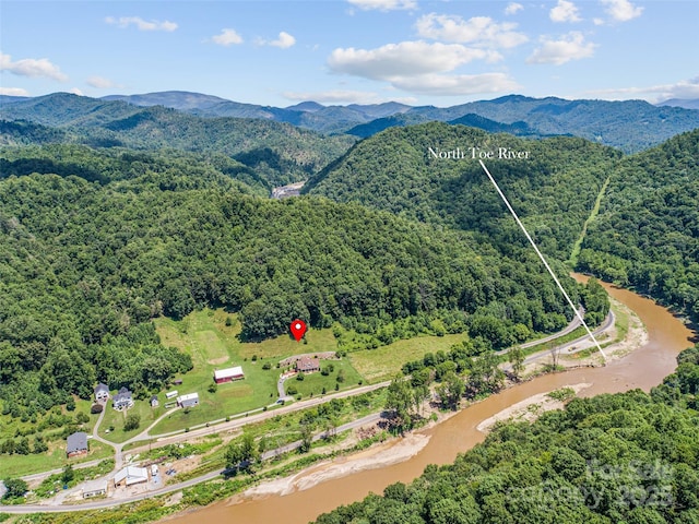 38 Peterson Ln, Green Mountain, NC 28740 - photo 2