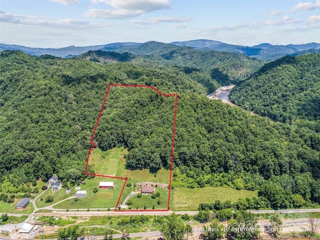 38 Peterson Ln, Green Mountain, NC 28740 - photo 45
