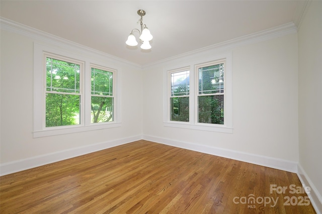 774 Eden Ter, Rock Hill, SC 29730 - photo 9