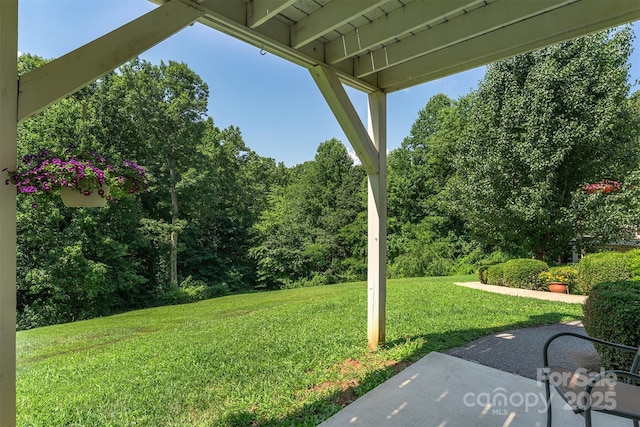 15 Krista Cir Unit F, Candler, NC 28715 - photo 20