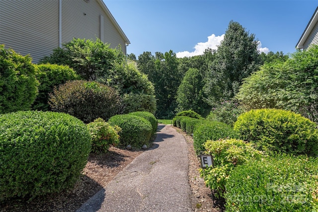 15 Krista Cir Unit F, Candler, NC 28715 - photo 25