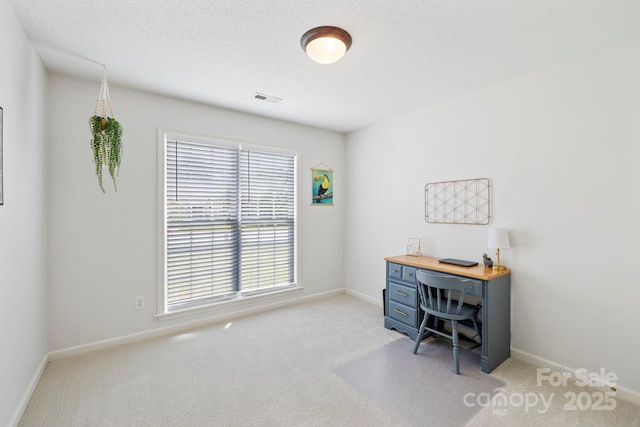 30 Morning Mist Rd, Fletcher, NC 28732 - photo 20