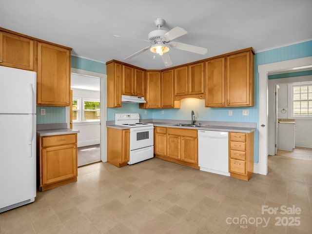 118 Railroad Ave, Brevard, NC 28712 - kitchen with white appliances, under cabinet range hood, healthy amount of natural light, light countertops, and ornamental molding