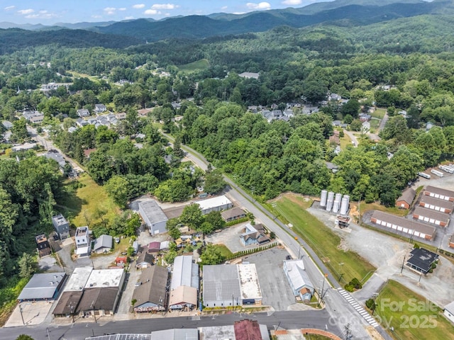 118 Railroad Ave, Brevard, NC 28712 - view of property location with a heavily wooded area and mountains