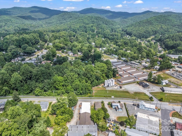 118 Railroad Ave, Brevard, NC 28712 - aerial view of mountains