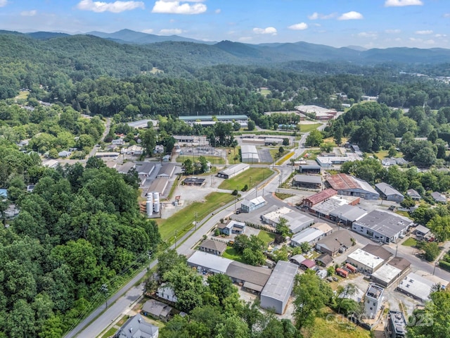 118 Railroad Ave, Brevard, NC 28712 - aerial overview of property's location with a forest and mountains