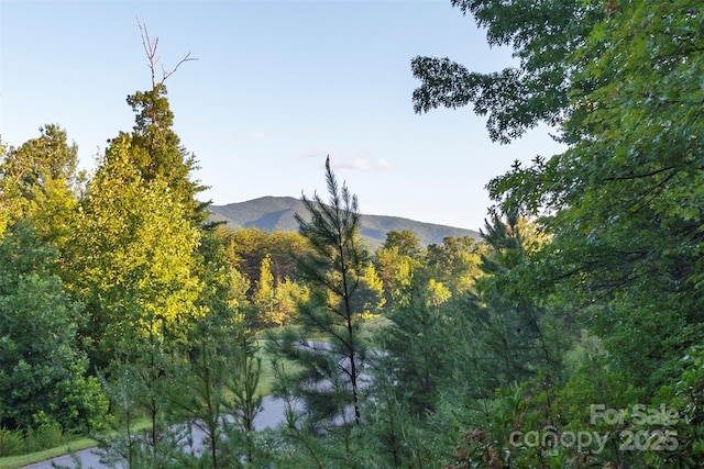 TBD Ridge Point Rd Unit 3, Nebo, NC 28761