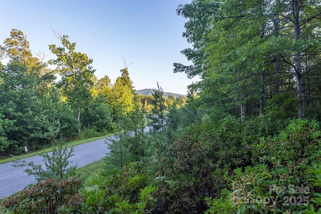 TBD Ridge Point Rd Unit 3, Nebo, NC 28761