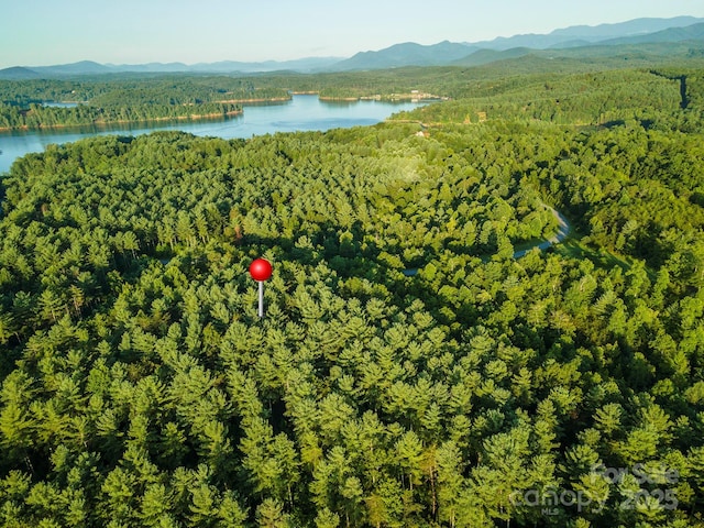 TBD Ridge Point Rd Unit 3, Nebo, NC 28761