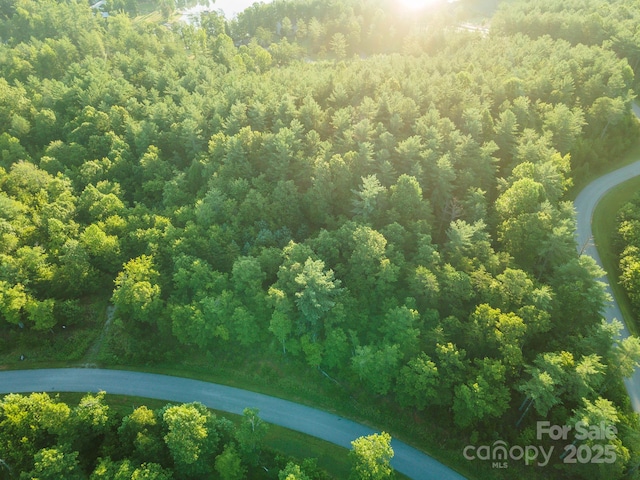 TBD Ridge Point Rd Unit 3, Nebo, NC 28761