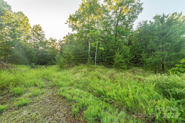TBD Ridge Point Rd Unit 3, Nebo, NC 28761