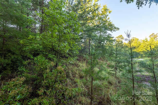 TBD Ridge Point Rd Unit 3, Nebo, NC 28761