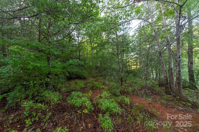 TBD Ridge Point Rd Unit 3, Nebo, NC 28761