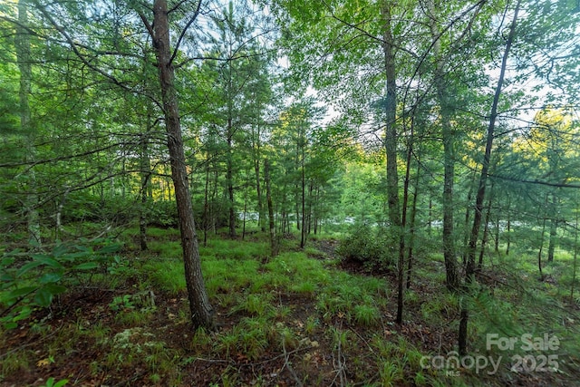 TBD Ridge Point Rd Unit 3, Nebo, NC 28761