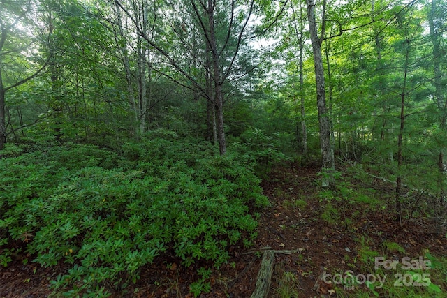 TBD Ridge Point Rd Unit 3, Nebo, NC 28761
