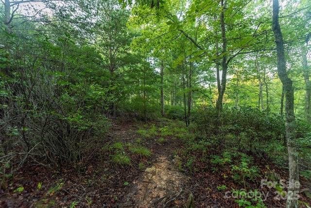TBD Ridge Point Rd Unit 3, Nebo, NC 28761